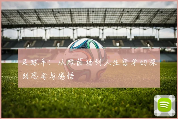 足球辛：从绿茵场到人生哲学的深刻思考与感悟